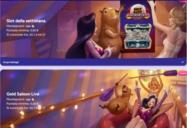 spinbara tournament page